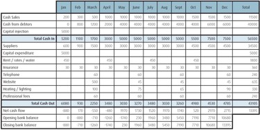 cashflow forecast wenta